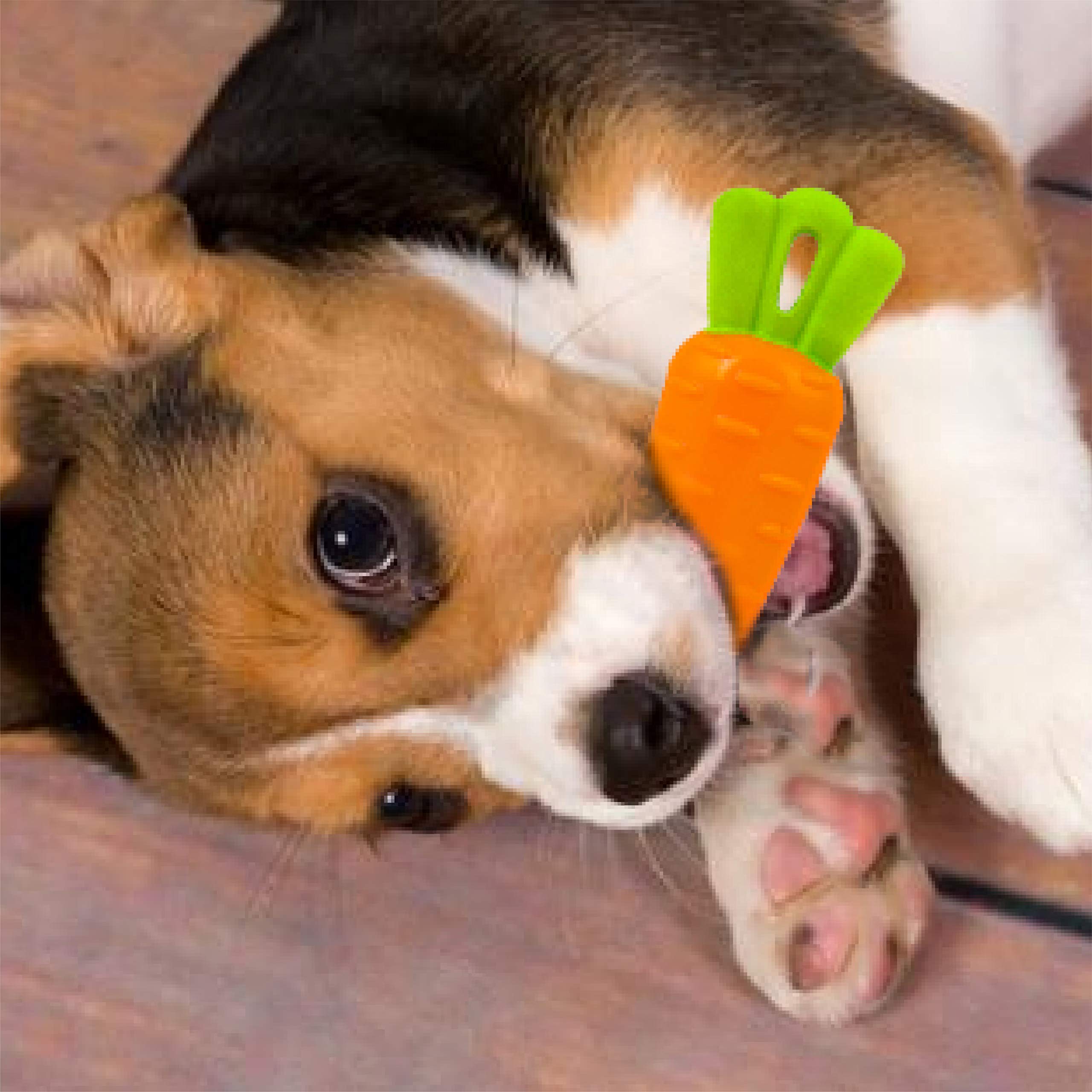 Goofy Tails Dog Toys, Veggie Series Carrot Squeaky Chew Toys for Dogs & Puppies, Squeaky Toys for Dogs, Small & Medium Breeds