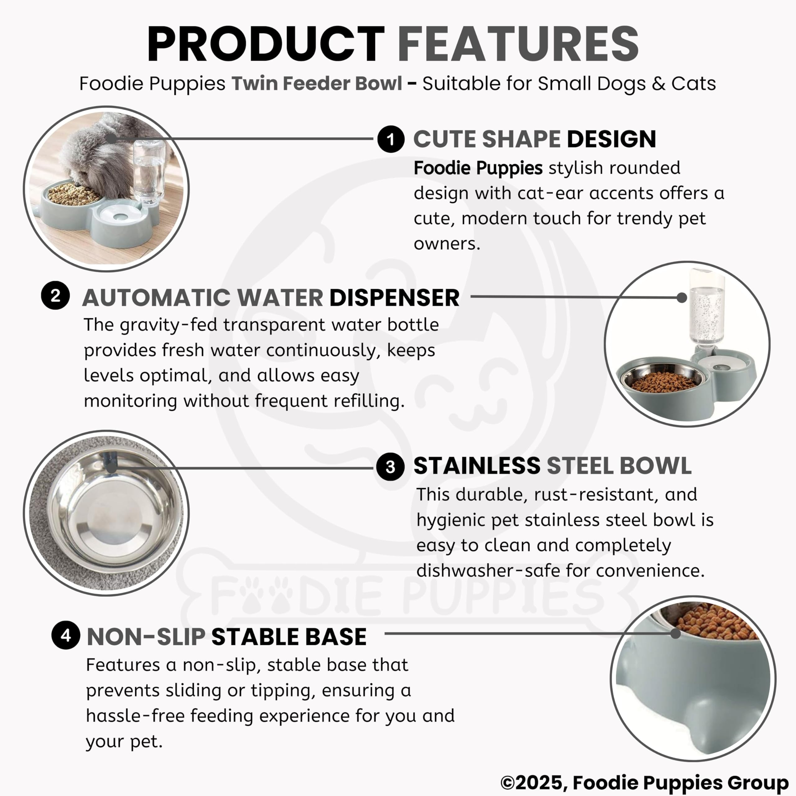 Foodie Puppies 2-in-1 Pet Feeding Bowl and Water Bottle Set for Puppies and Cats | Stainless Steel Bowl | Wet and Dry Food Bowl with Automatic Water Flowing Dispenser Bottle