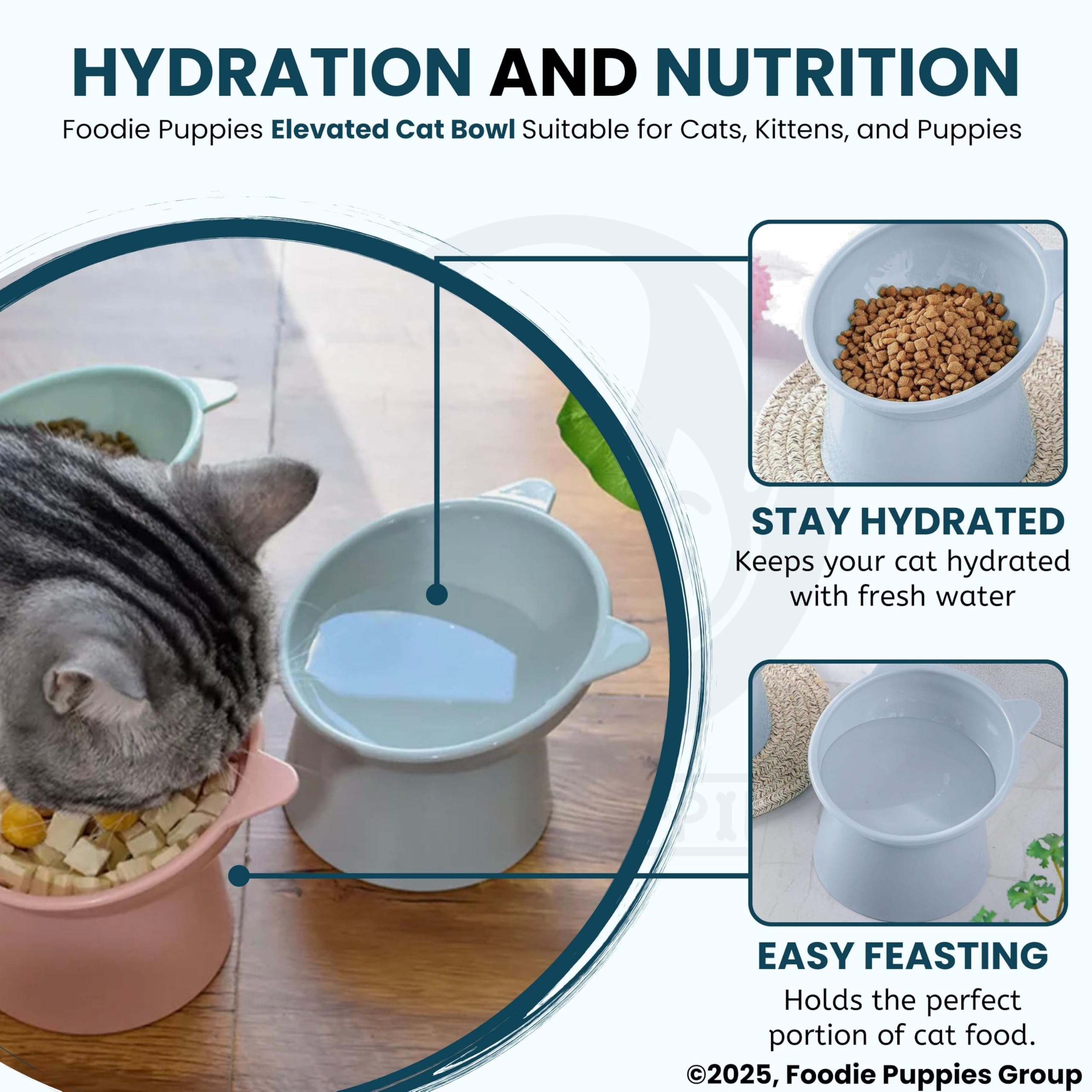 Foodie Puppies Elevated Cat Bowl Feeder Food Water Feeder Bowl for Cats, Kittens & Puppies | Persian Cat Food Bowl Tilted Raised Bowl Anti Vomiting 15° Slanted Bowl (Color May Vary)