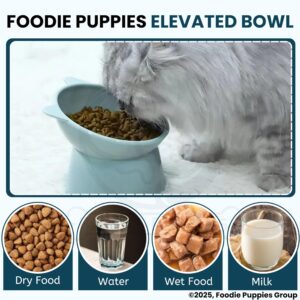 Foodie Puppies Elevated Cat Bowl Feeder Food Water Feeder Bowl for Cats, Kittens & Puppies | Persian Cat Food Bowl Tilted Raised Bowl Anti Vomiting 15° Slanted Bowl (Color May Vary)