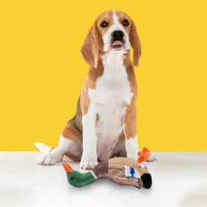 BarkButler x Fofos Wild Duck Plush - Soft & Squeaky Toys for Dogs, Dog Toys for Medium Dogs (0-20kgs) - Brown
