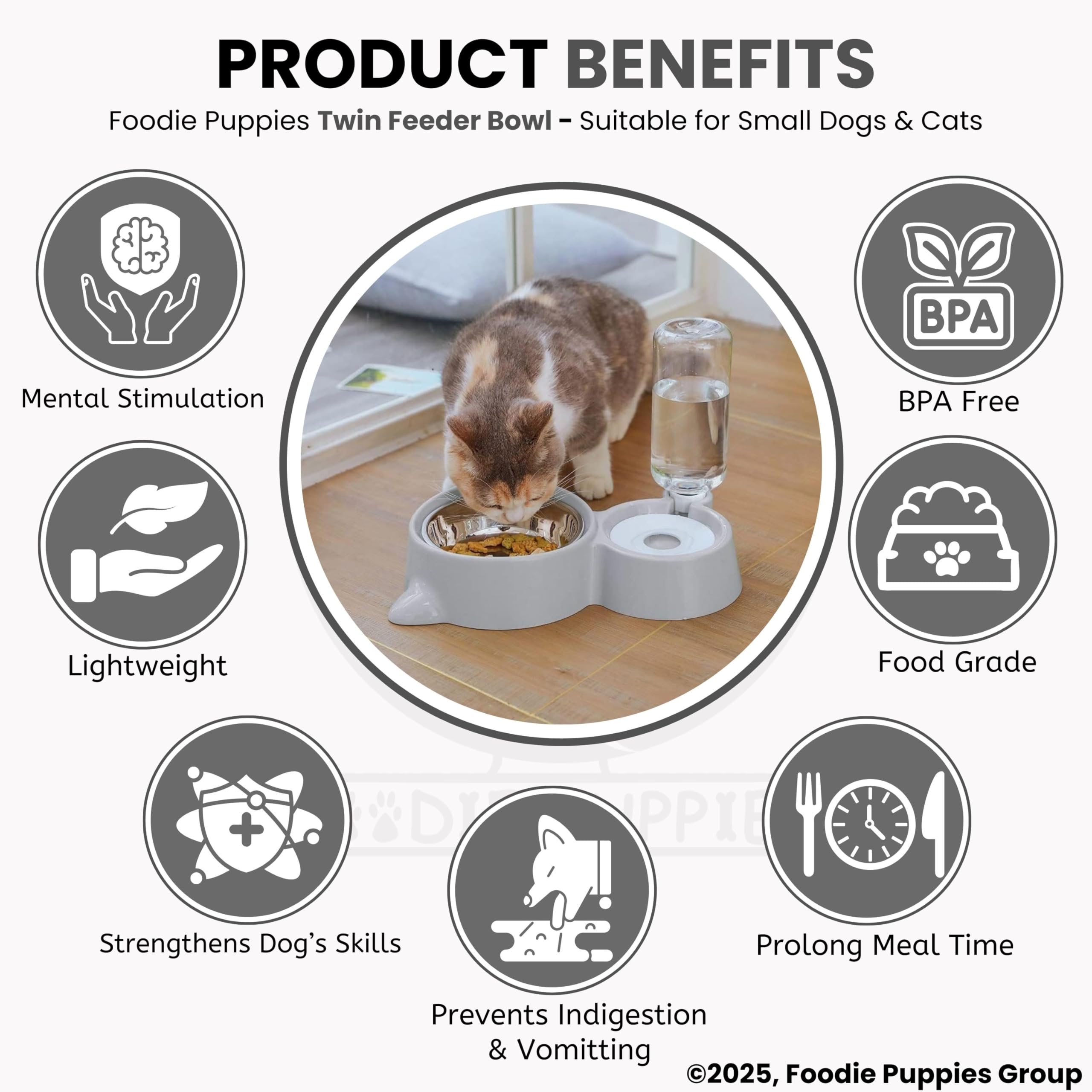 Foodie Puppies 2-in-1 Pet Feeding Bowl and Water Bottle Set for Puppies and Cats | Stainless Steel Bowl | Wet and Dry Food Bowl with Automatic Water Flowing Dispenser Bottle