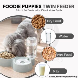 Foodie Puppies 2-in-1 Pet Feeding Bowl and Water Bottle Set for Puppies and Cats | Stainless Steel Bowl | Wet and Dry Food Bowl with Automatic Water Flowing Dispenser Bottle