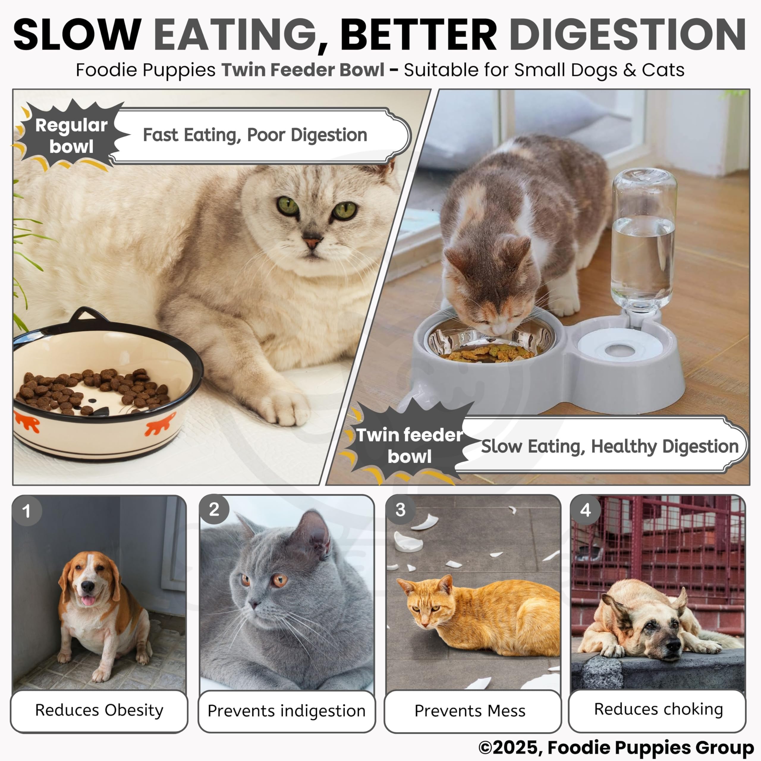 Foodie Puppies 2-in-1 Pet Feeding Bowl and Water Bottle Set for Puppies and Cats | Stainless Steel Bowl | Wet and Dry Food Bowl with Automatic Water Flowing Dispenser Bottle